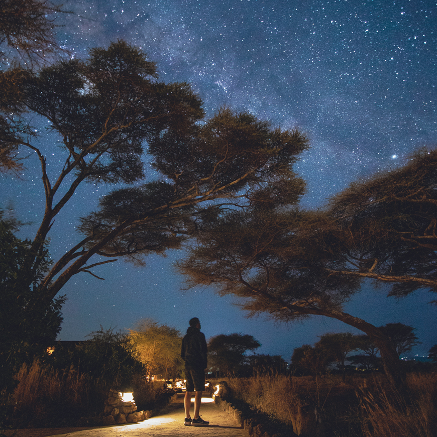 Humans and nature | Curiosity 19: #Disruption © https://www.wits.ac.za/curiosity/